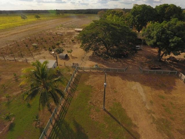 935 há (193 alq) Pecuária e Grãos com ótima sede e benfeitorias e pista de pouso de 1.300m - Foto 7