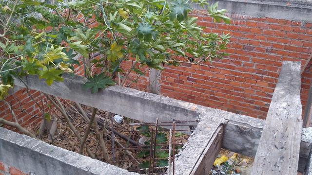 Terreno Vila Amato com construção - Foto 6