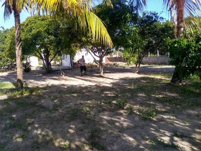 Vendo chácara localizada no Mosqueiro CH0014 - Foto 5