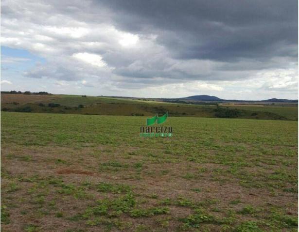 Fazenda à venda, 1113200 m² por r$ 3.800.000 - linha mangabeira - santa maria do oeste/pr - Foto 3