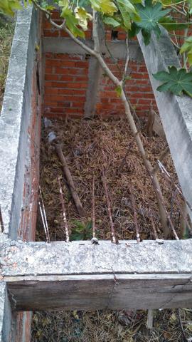 Terreno Vila Amato com construção - Foto 5