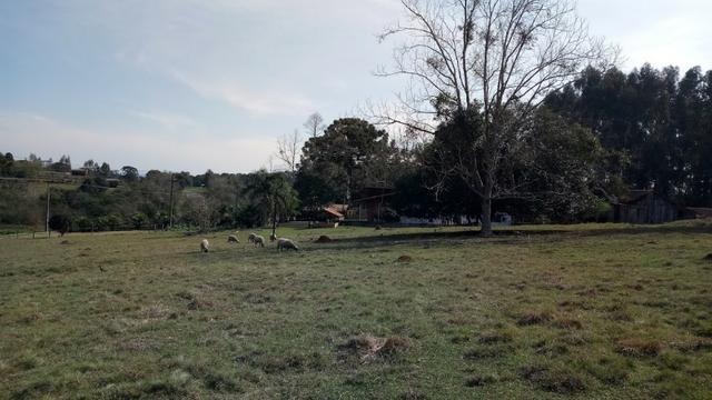 Chácara Manduri BR 373 Prudentópolis-Pr - Foto 14