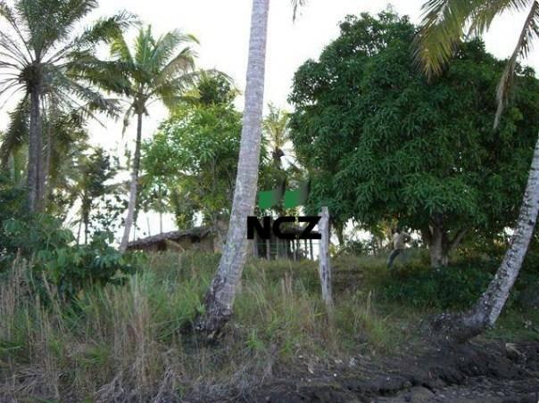 Fazenda à venda, 4080000 m² por r$ 5.000.000 - barra grande - maraú/ba - Foto 4