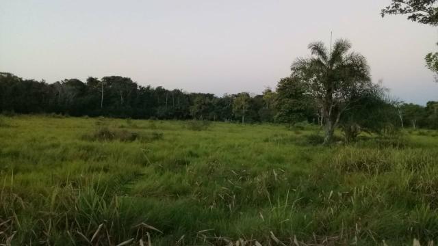 Fazenda 80 hectares próximo a Cuiabá