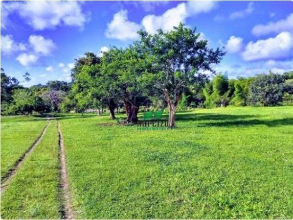 Fazenda à venda, 4190000 m² por r$ 5.600.000 - cidade nova - ilhéus/ba - Foto 8