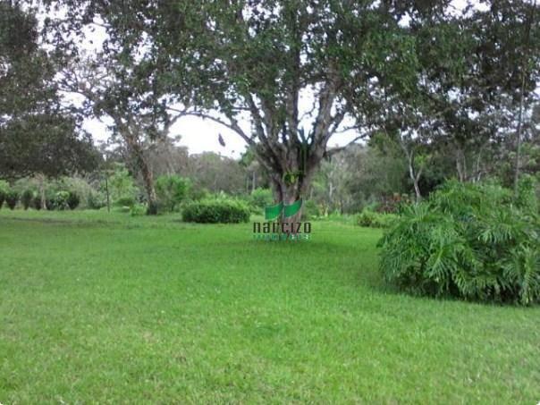 Fazenda à venda, 4190000 m² por r$ 5.600.000 - cidade nova - ilhéus/ba - Foto 11