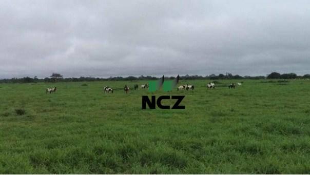Fazenda à venda, 12620000 m² por r$ 22.000.000,00 - aeroporto - feira de santana/ba - Foto 7