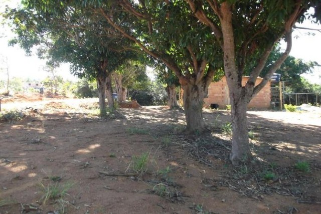 Sitio de 5 mil metros,Jaboticatubas (Temos varias opções). - Foto 10