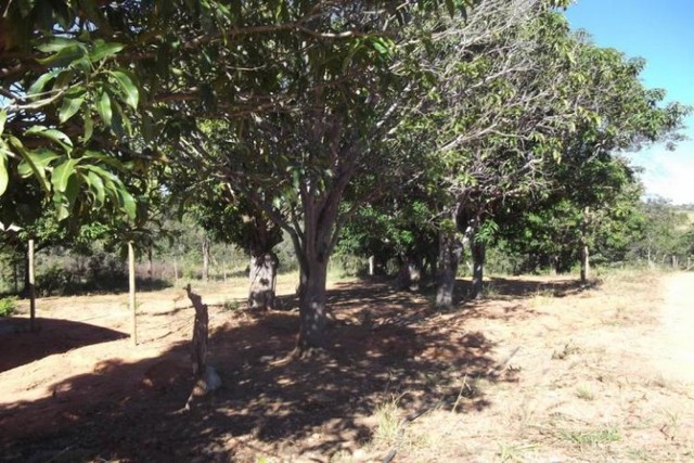 Sitio de 5 mil metros,Jaboticatubas (Temos varias opções). - Foto 7