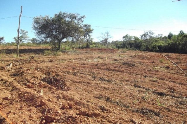 Sitio de 5 mil metros,Jaboticatubas (Temos varias opções). - Foto 4