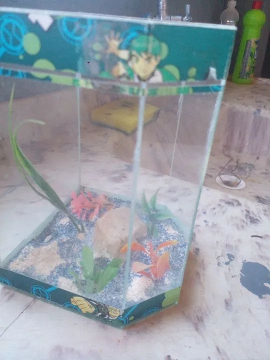 Aquário de vidro decorado