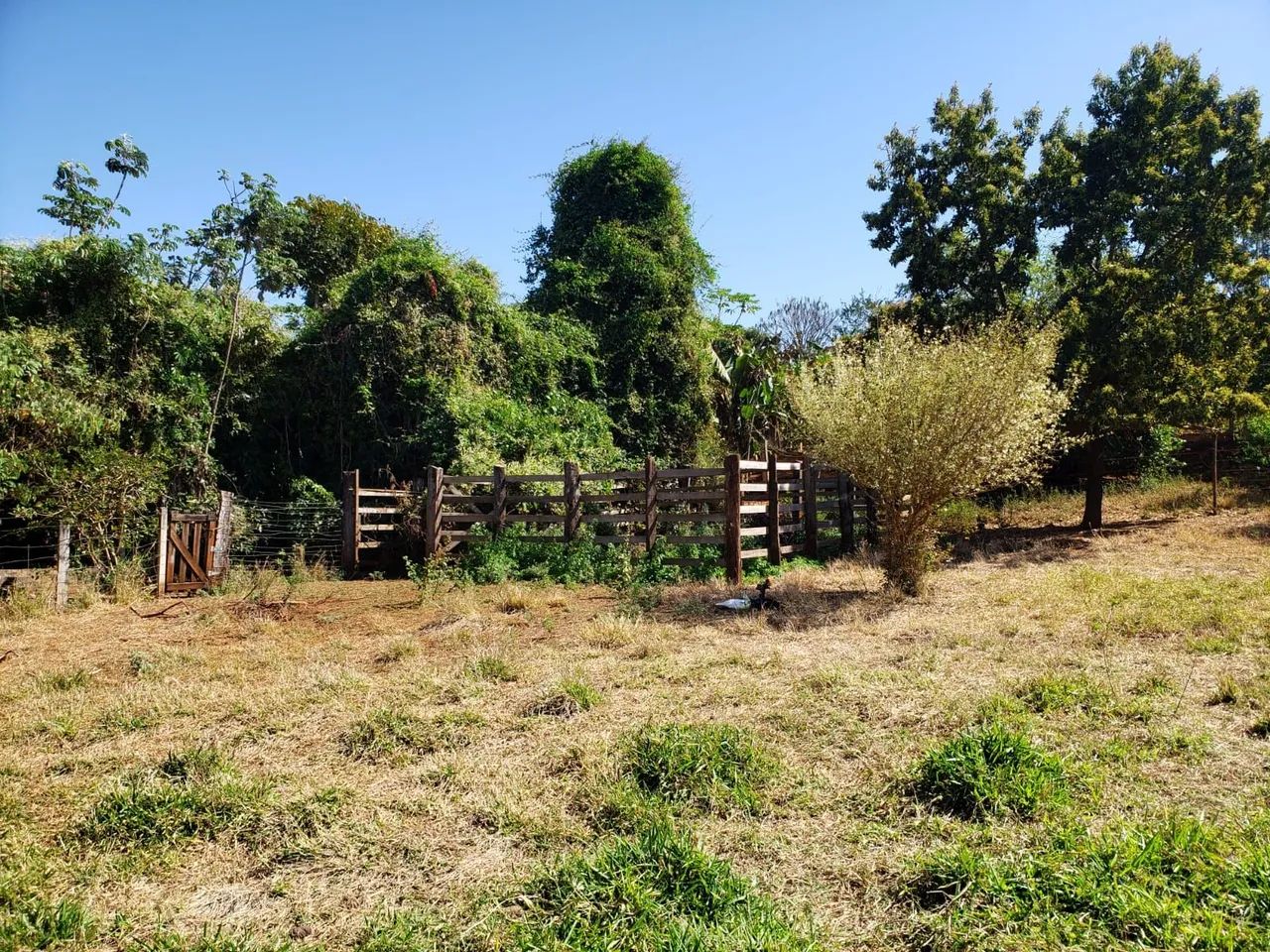 Sitio Serra Azul Imperdivel - Foto 11