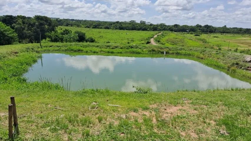 Magnífica Chácara em Indiara - GO. - Foto 2