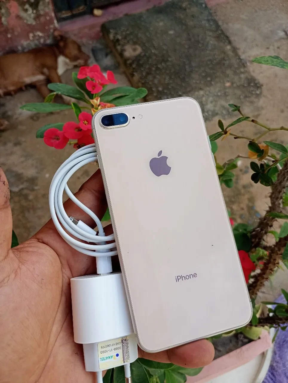 iPhone 8 plus 256 gigas conservado top!!!