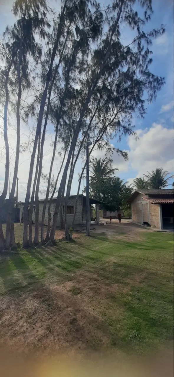 Linda chácara em Parnamirim próximo à Br toda reformada (Oportunidade)