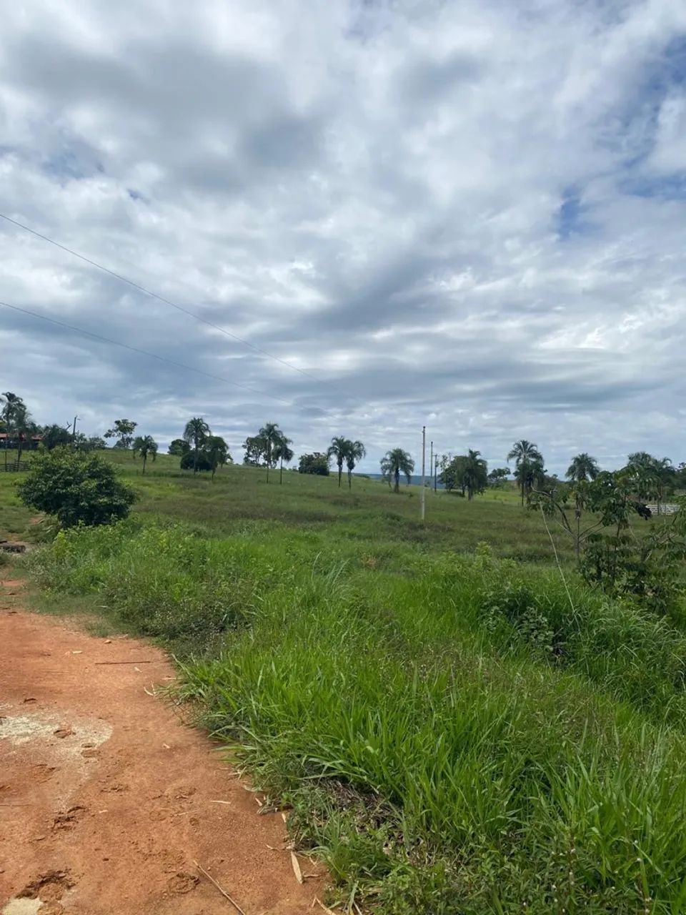Fazenda em Padre Bernardo 