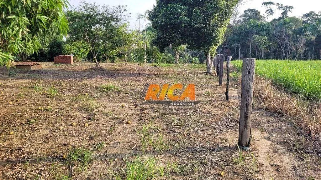 Vende-se uma Excelente Fazenda com 100 Hectares, a apenas 11 km de Porto Velho/RO - Foto 3