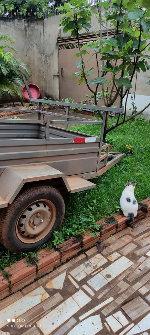 Carretinha semi Nova