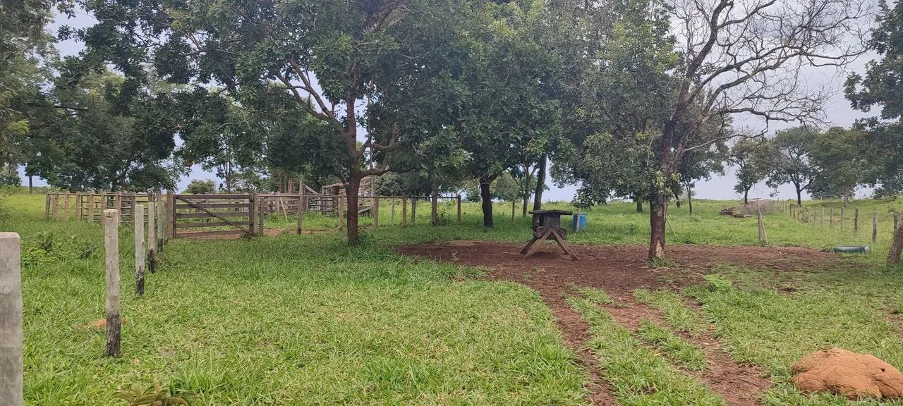 Chácara em Pontalina 