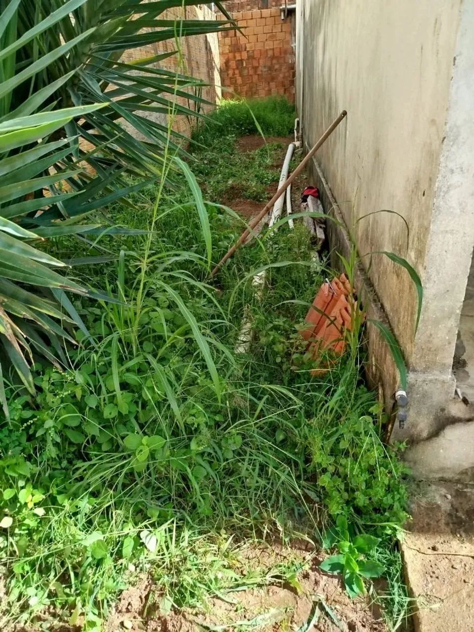 Trabalho com capina de quintal frente 