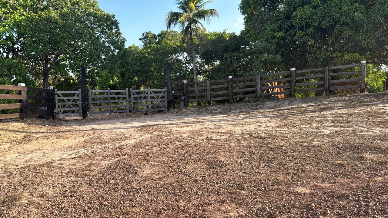 FAZENDA A VENDA EM AMARANTE/MA - Foto 5
