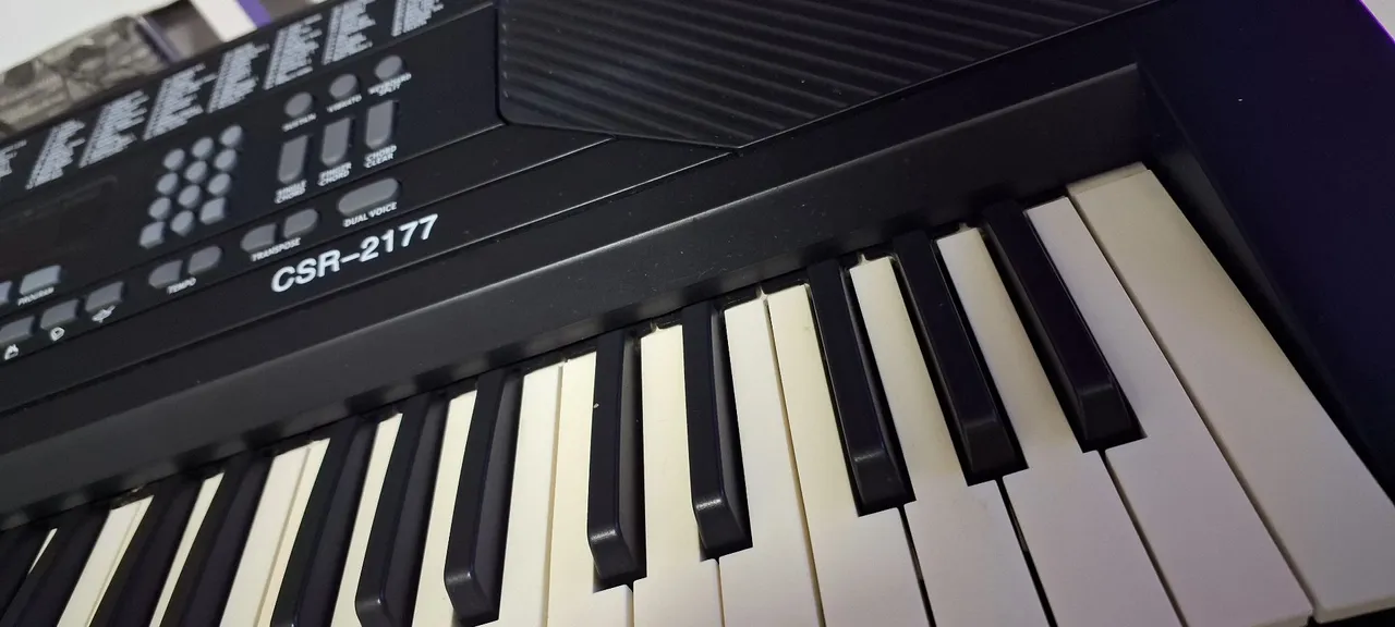 Teclado Musical CSR-2177