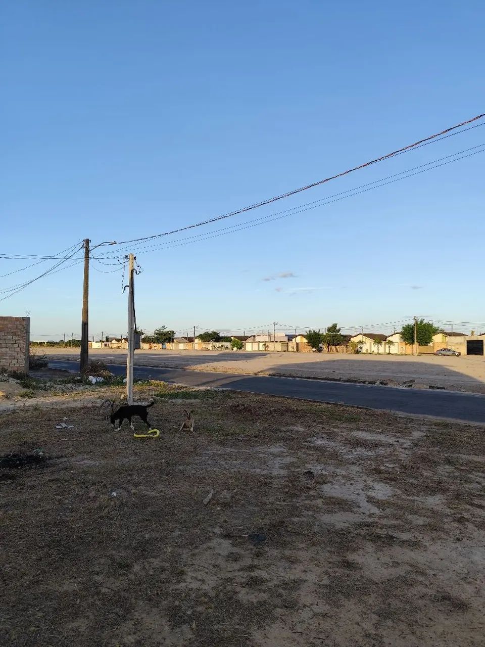 Terreno no Caburaí  - Foto 2