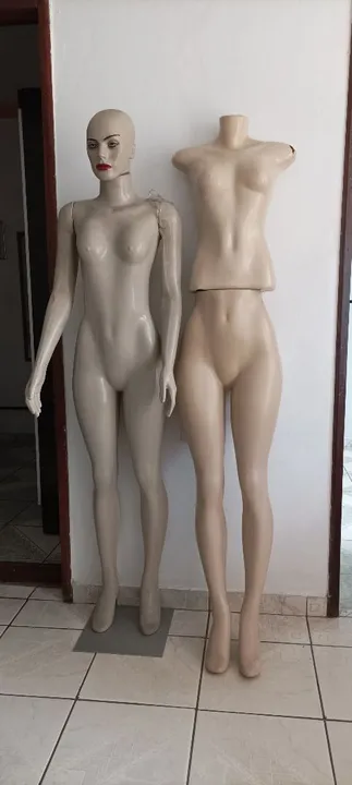 Mannequins de Loja - Adulto - Feminino