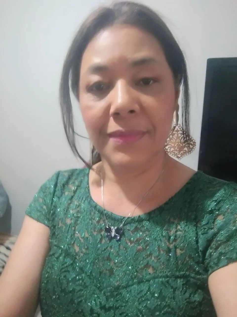 Sou domestica diarista