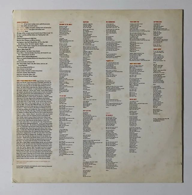 Guns N Roses - Appetite For Destruction (LP) - Raro - Foto 3