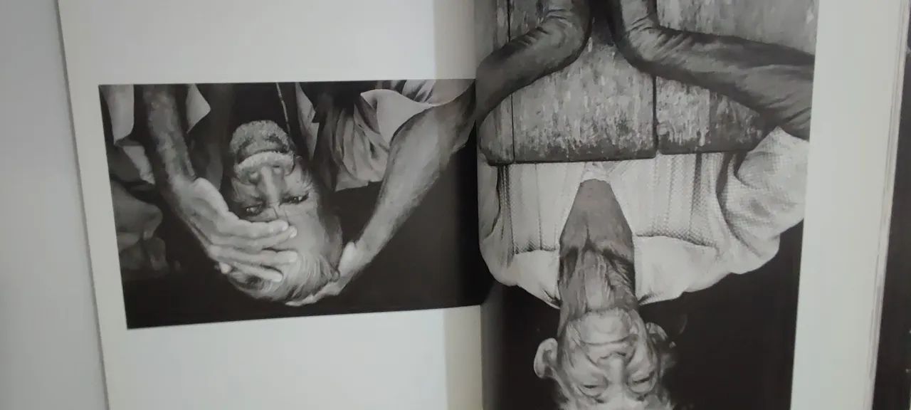 livro terra sebastião salgado - Foto 4