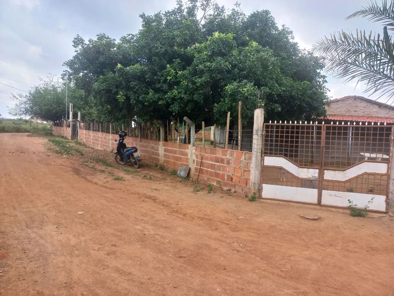 Chácara  - Foto 2