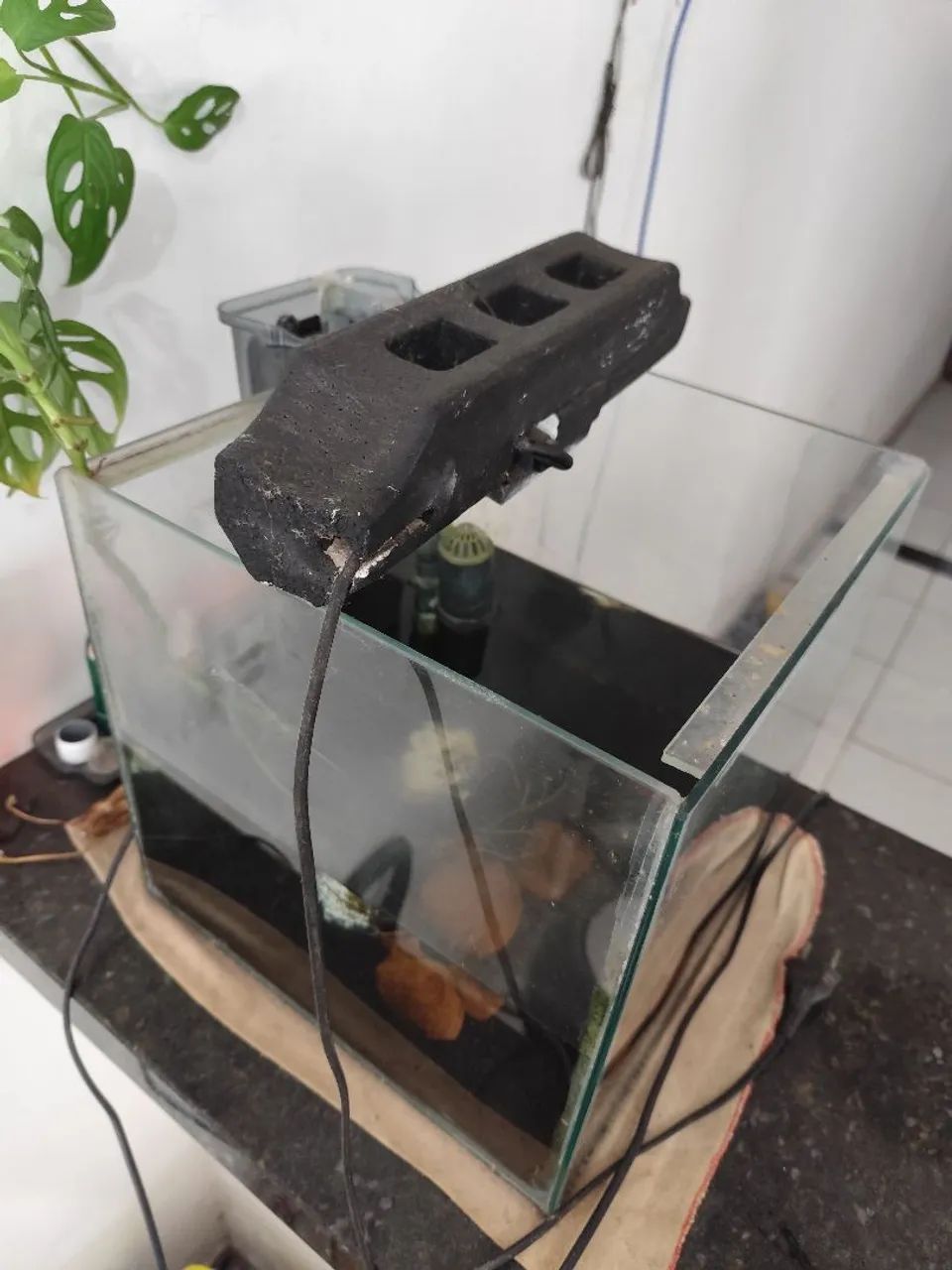 Aquário ornamental  - Foto 2