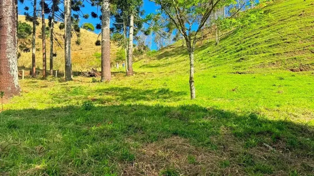 Bosque das Araucárias - Foto 2