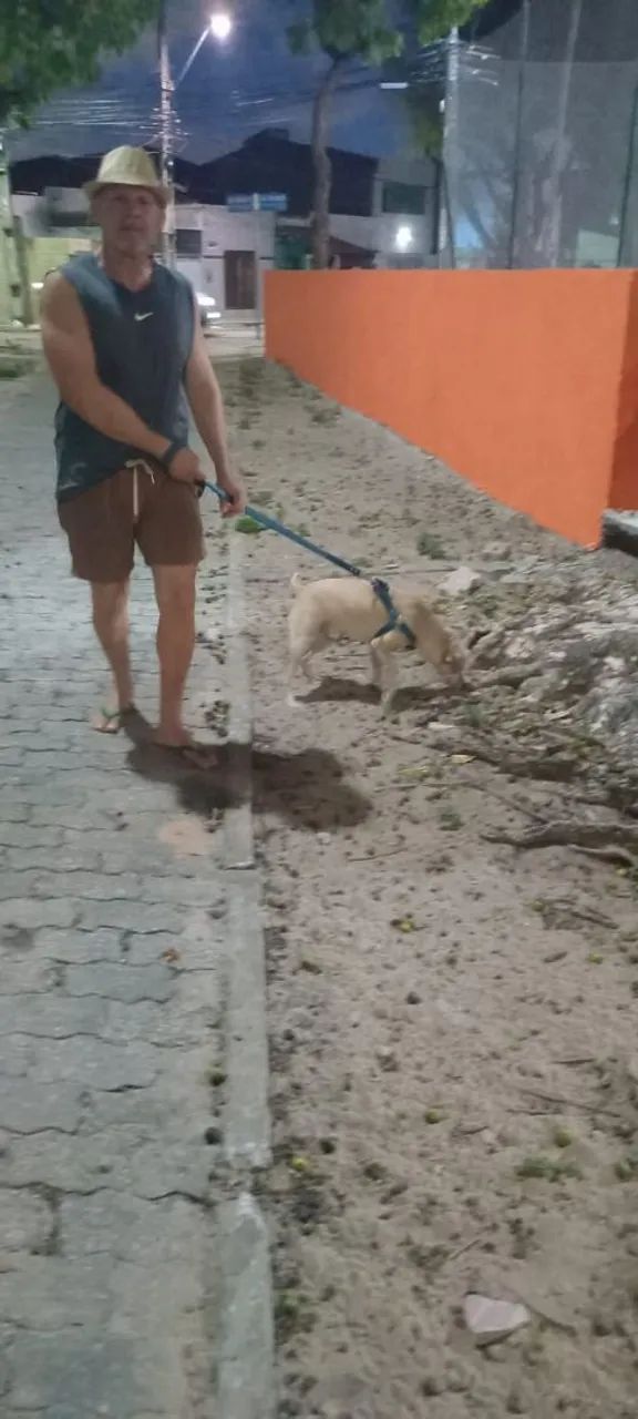 Cuidador de pet - Foto 3