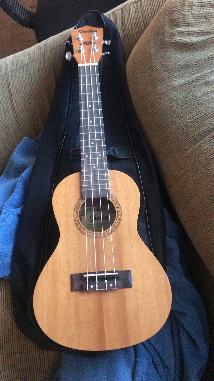 Ukulele shelby 