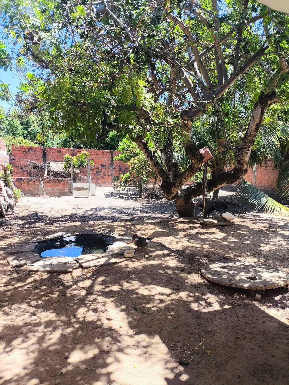 Vendo casa na pedra mole  - Foto 2