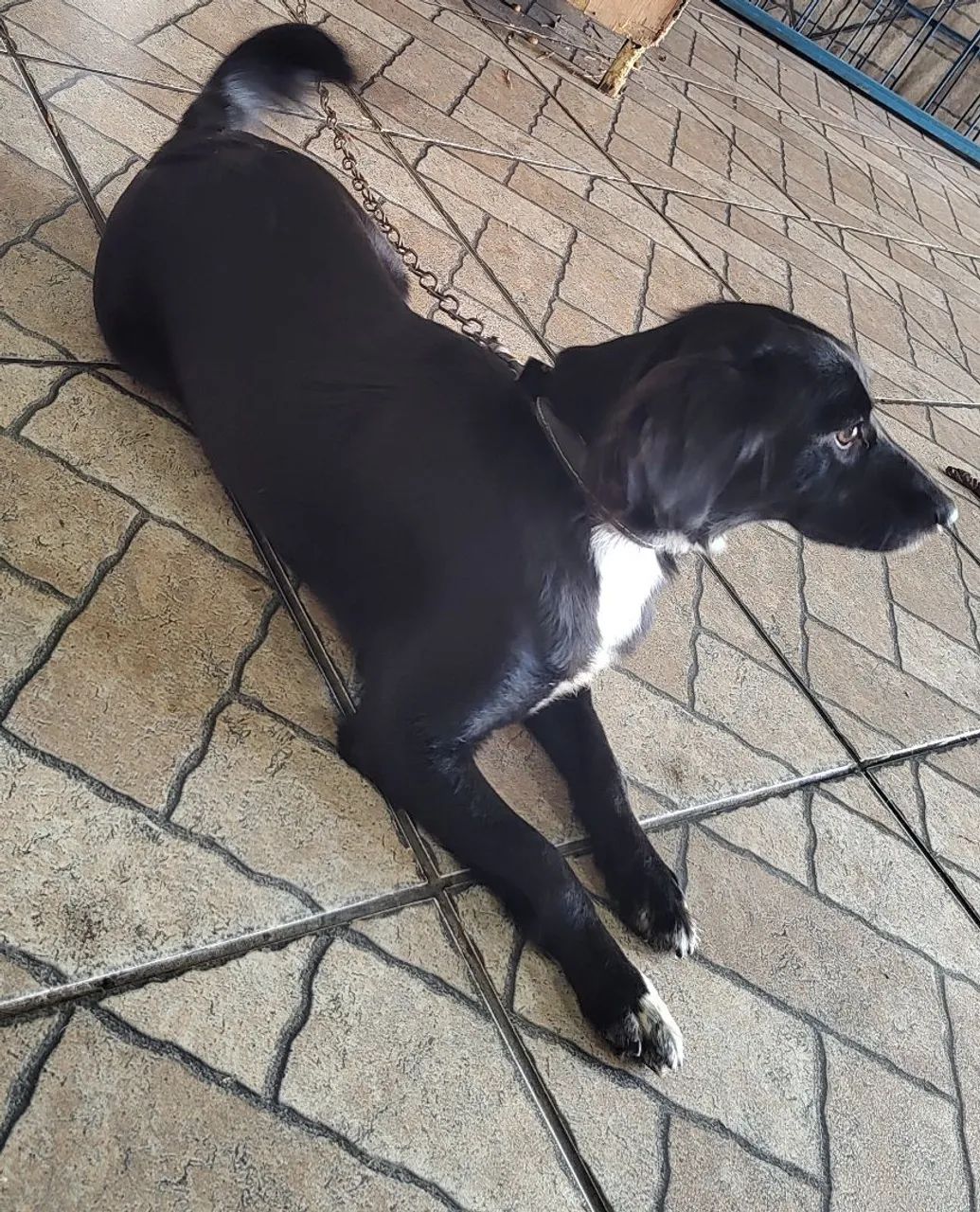 Doação 
