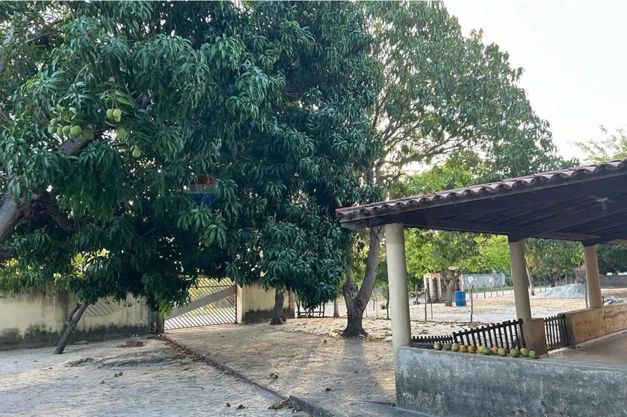"Abrace a Vida no Campo: Chácara em Paracuru! - Foto 5