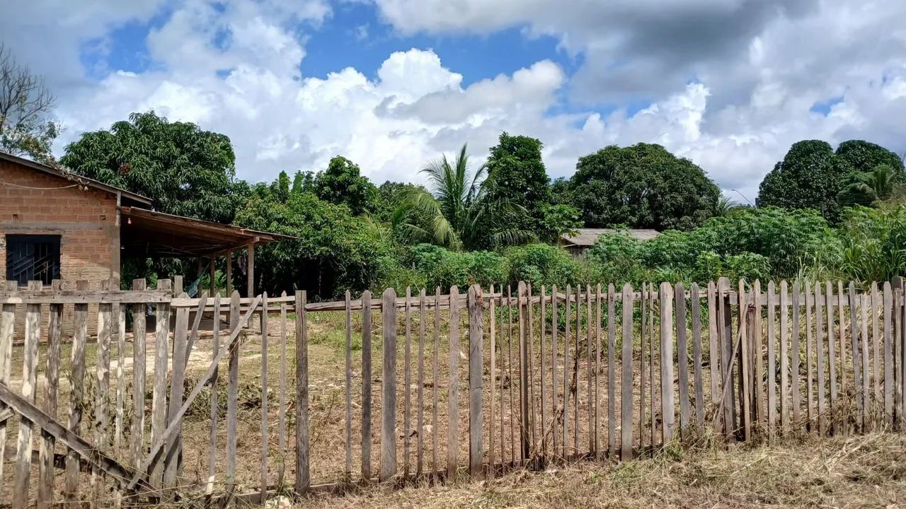 Vendo terreno Na vila Sumaúma. Município d Alto Alegre e Mucajaí  - Foto 2