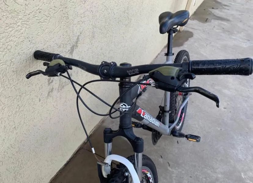 Bicicleta canadian  - Foto 4