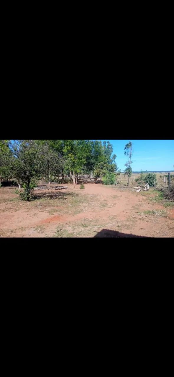 Chacara - Foto 3
