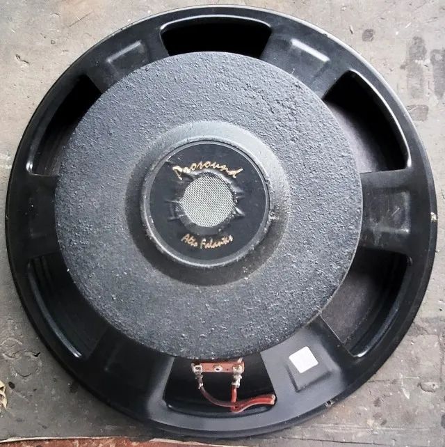 Alto Falante Prosound 15 polegadas 350W - Foto 2