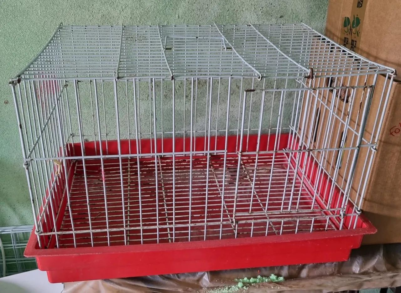 Gaiola coelho porquinho  da Índia  - Foto 2