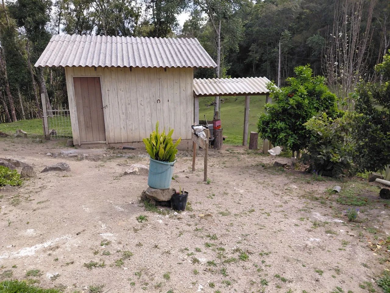 Guarto  Pinheiro  - Foto 4