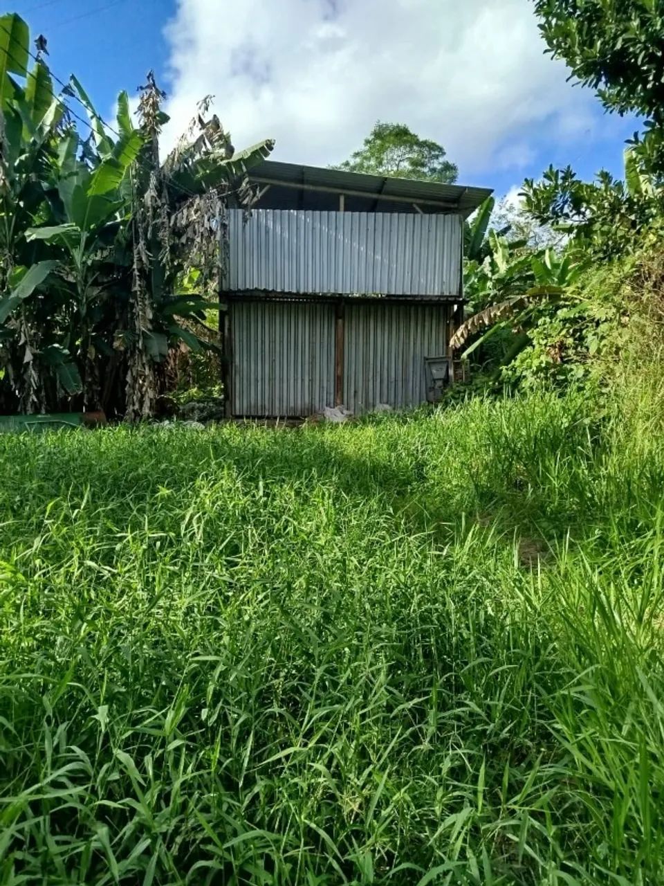 Galpão e casa em sítio para alugar - Foto 2
