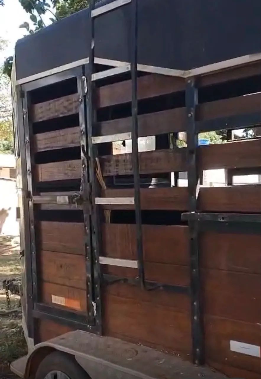 Vendo 2 cavalos  - Foto 4