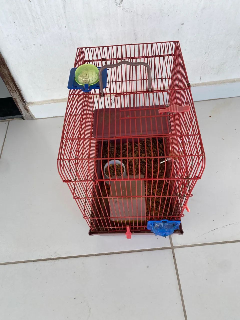 Hamster sírio com gaiola - Foto 5
