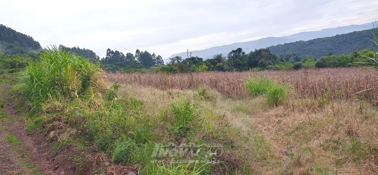 Chácara Linha Temeraria Nova Petrópolis - Foto 5