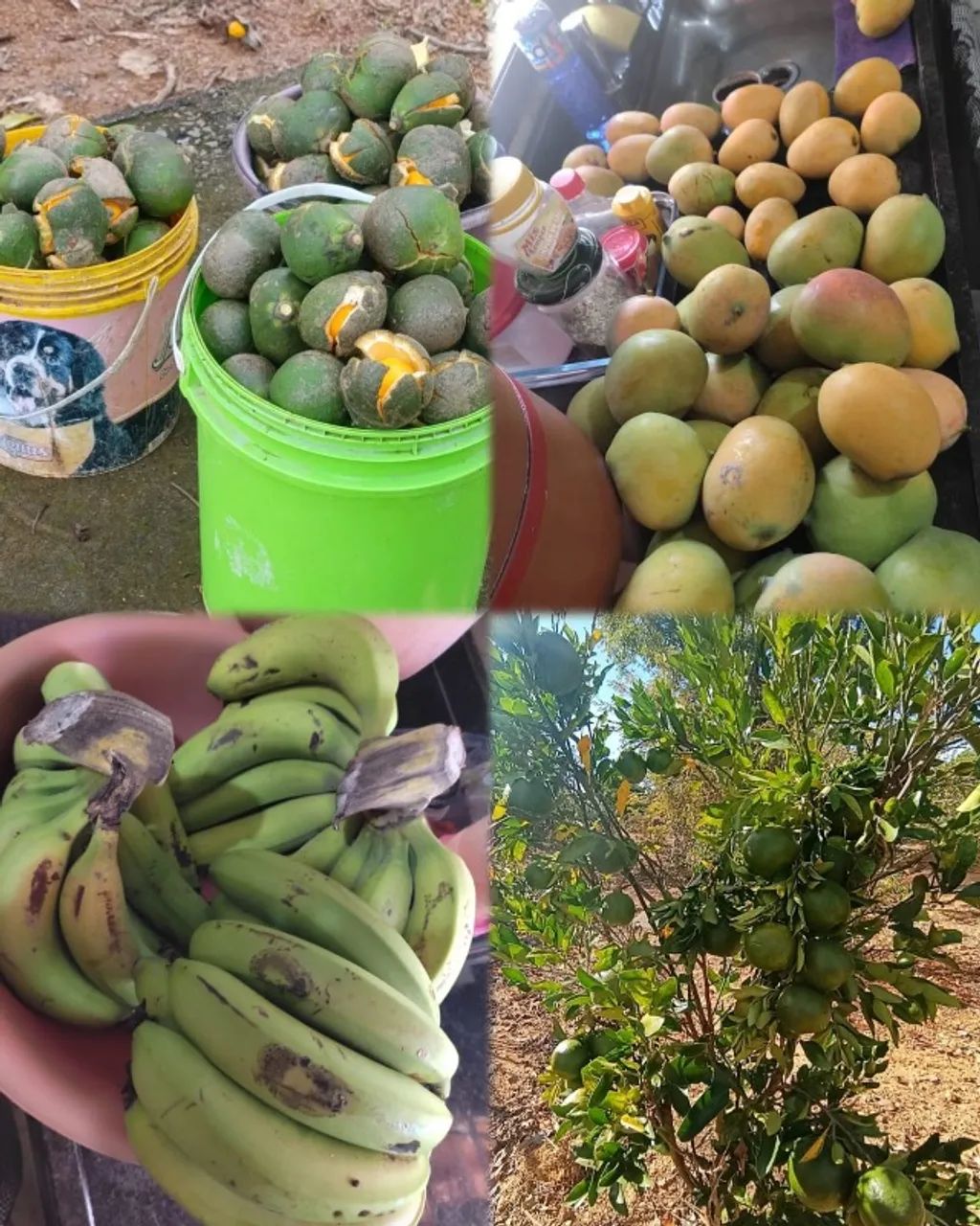 Vendo esse lindo sítio em Funilândia! - Foto 3